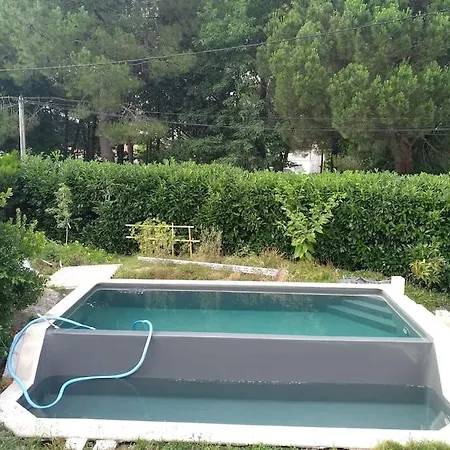 Zen *